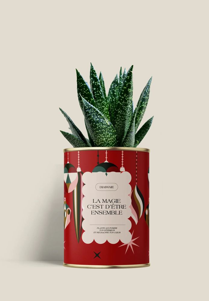 Cadeaux - LA MAGIE C'EST D'ÊTRE ENSEMBLE - Mini Aloé - DIAIWAIE