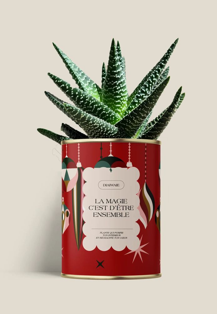 Gifts - LA MAGIE C'EST D'ÊTRE ENSEMBLE - Maxi Aloé - DIAIWAIE