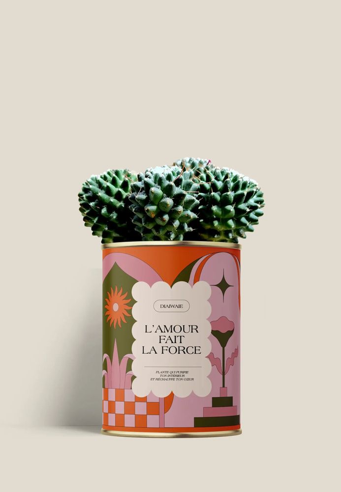 Gifts - L'AMOUR FAIT LA FORCE - Mini Cactus - DIAIWAIE