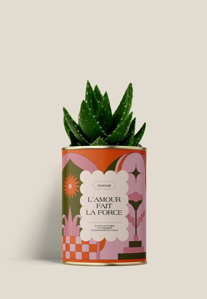 Cadeaux - L'AMOUR FAIT LA FORCE - Mini Aloé - DIAIWAIE