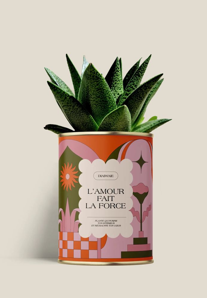 Cadeaux - L'AMOUR FAIT LA FORCE - Maxi Aloé - DIAIWAIE
