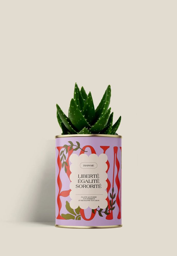 Cadeaux - Liberté égalité sororite - Mini Aloé - DIAIWAIE