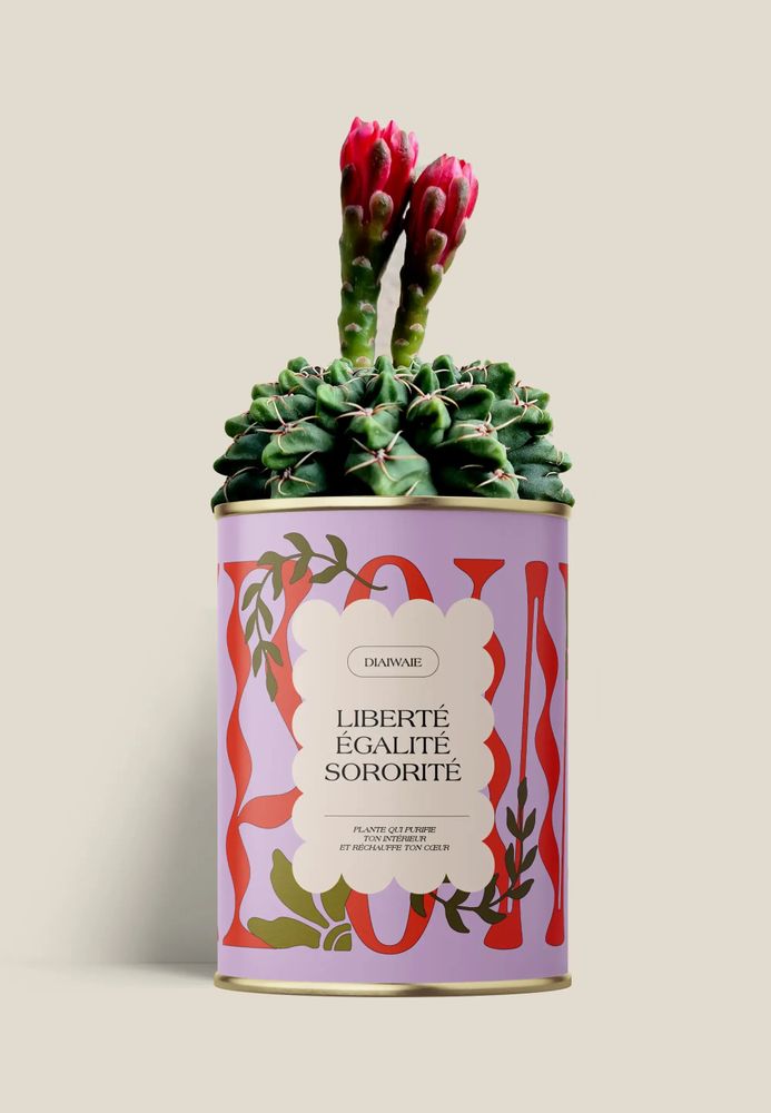 Cadeaux - Liberté égalité sororite - Maxi Cactus - DIAIWAIE