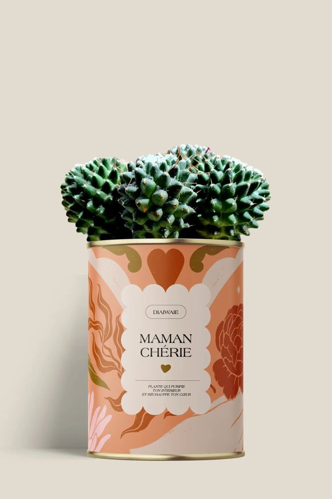 Cadeaux - Maman Chérie - Mini Cactus - DIAIWAIE