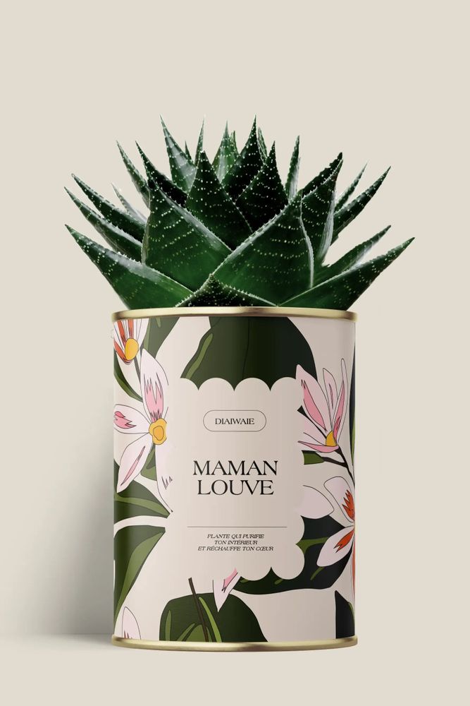 Cadeaux - Maman Louve - Maxi Aloé - DIAIWAIE