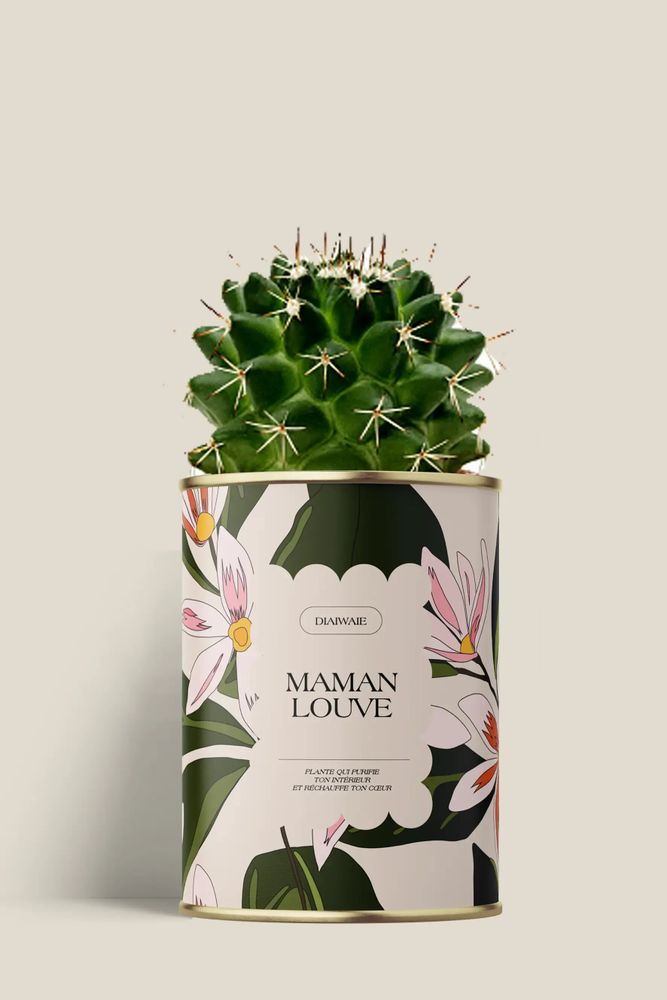 Gifts - Maman Louve - Mini Cactus - DIAIWAIE