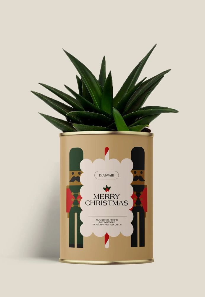 Cadeaux - Merry Chrismas - Maxi Aloé - DIAIWAIE