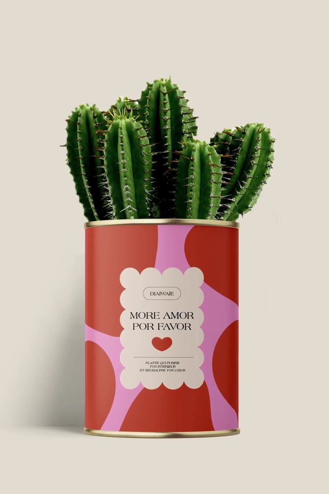 Cadeaux - More amor por favor - Maxi Cactus - DIAIWAIE