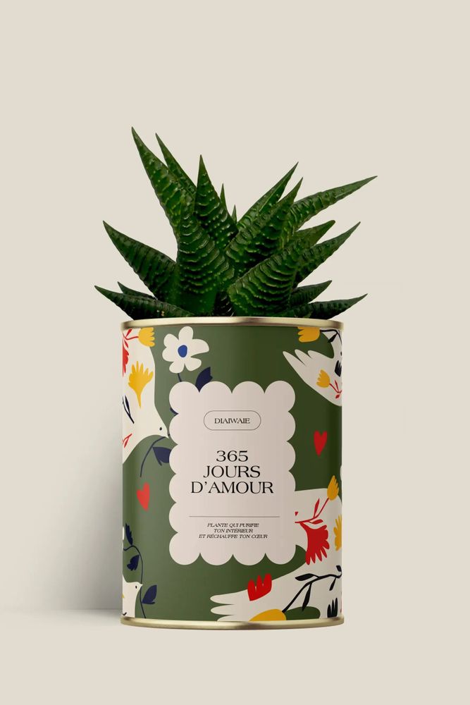 Cadeaux - 365 jours d'amour - Maxi Aloé - DIAIWAIE