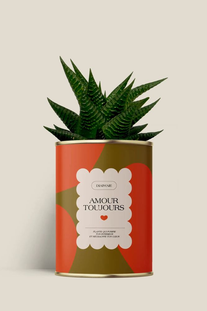 Cadeaux - Amour toujours - Maxi Aloé - DIAIWAIE