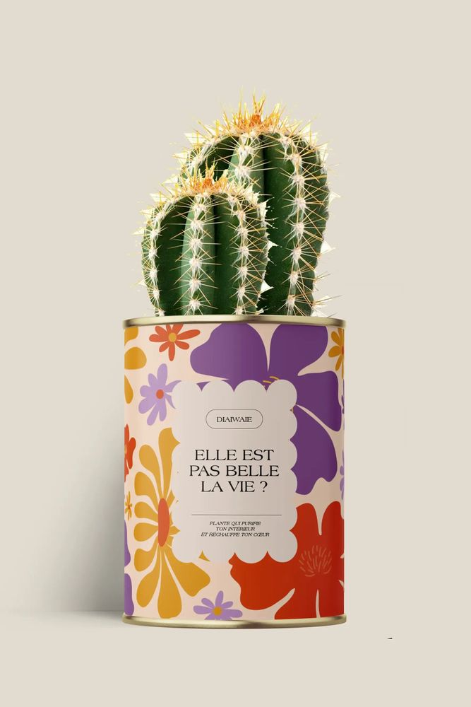 Cadeaux - Elle est pas belle la vie ? - Maxi Cactus - DIAIWAIE