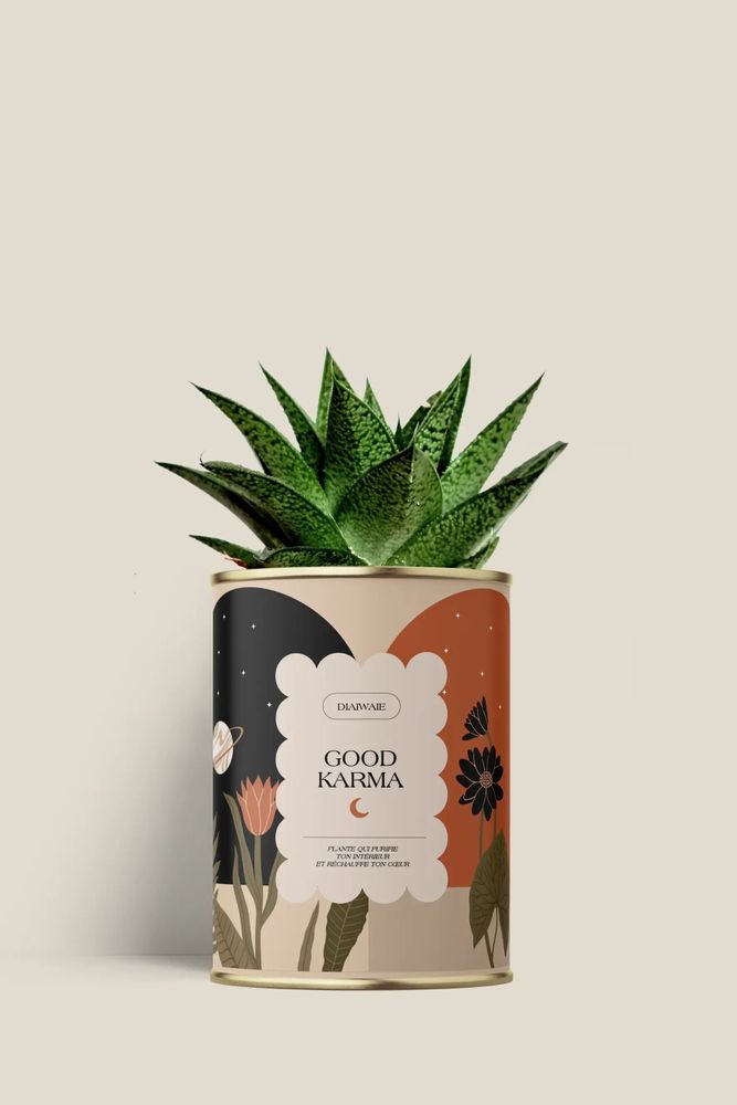 Cadeaux - Good Karma - Mini Aloé - DIAIWAIE