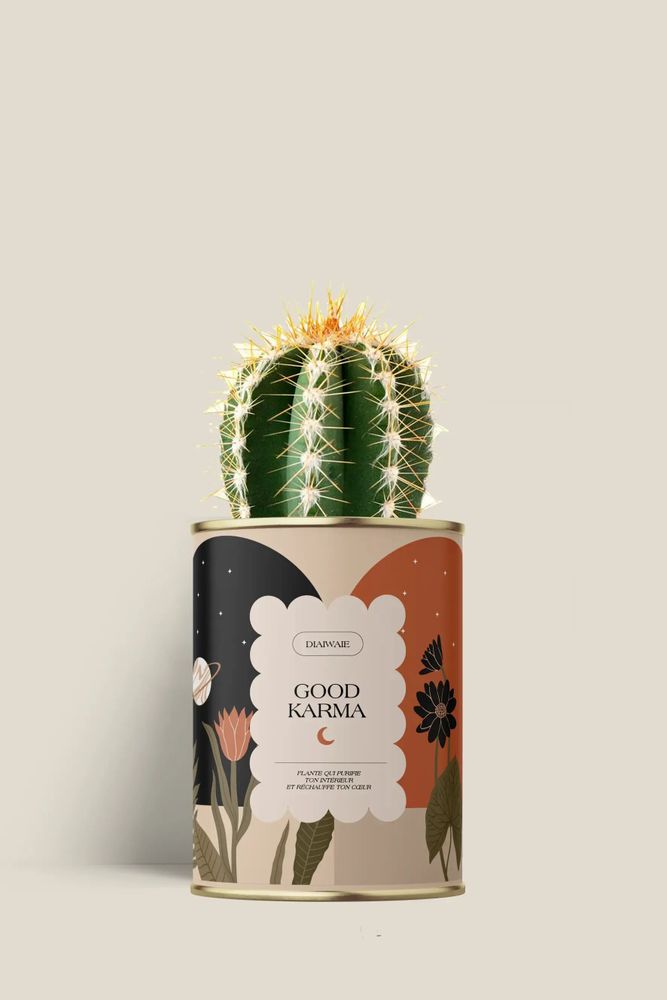 Cadeaux - Good Karma - Mini Cactus - DIAIWAIE