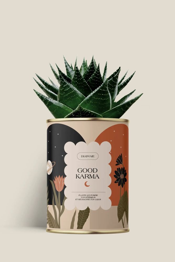 Cadeaux - Good Karma - Maxi Aloé - DIAIWAIE