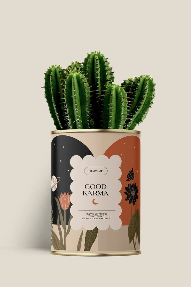 Cadeaux - Good Karma - Maxi Cactus - DIAIWAIE