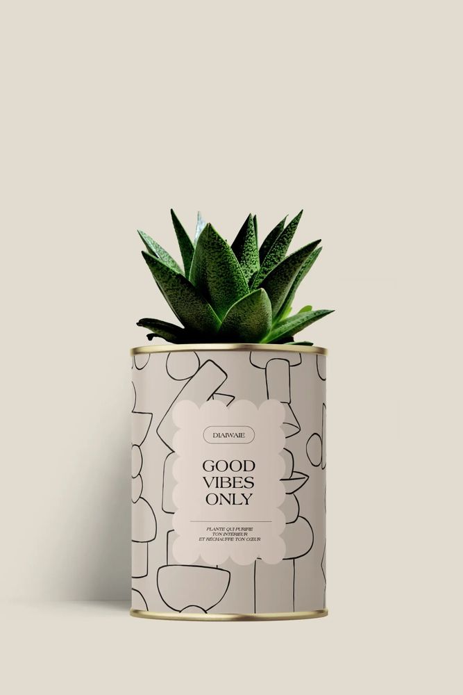 Cadeaux - Good vibes only - Mini Aloé - DIAIWAIE