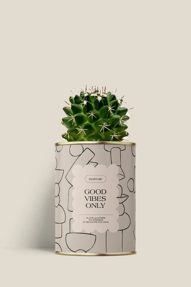 Cadeaux - Good vibes only - Mini Cactus - DIAIWAIE