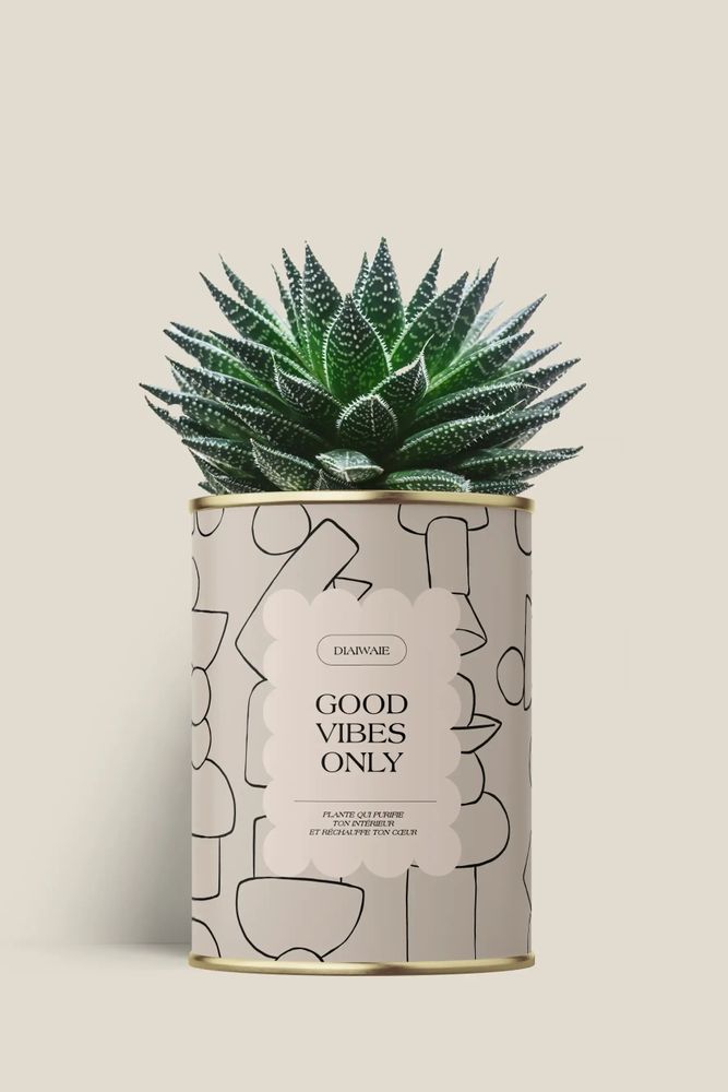 Cadeaux - Good vibes only - Maxi Aloé - DIAIWAIE