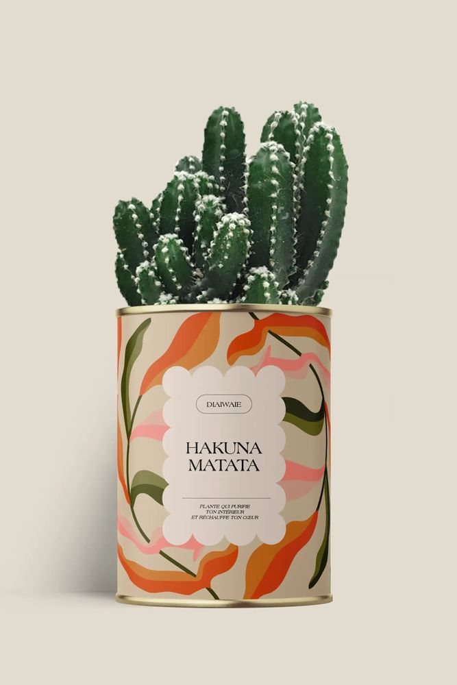 Cadeaux - Hakuna matata - Maxi Cactus - DIAIWAIE