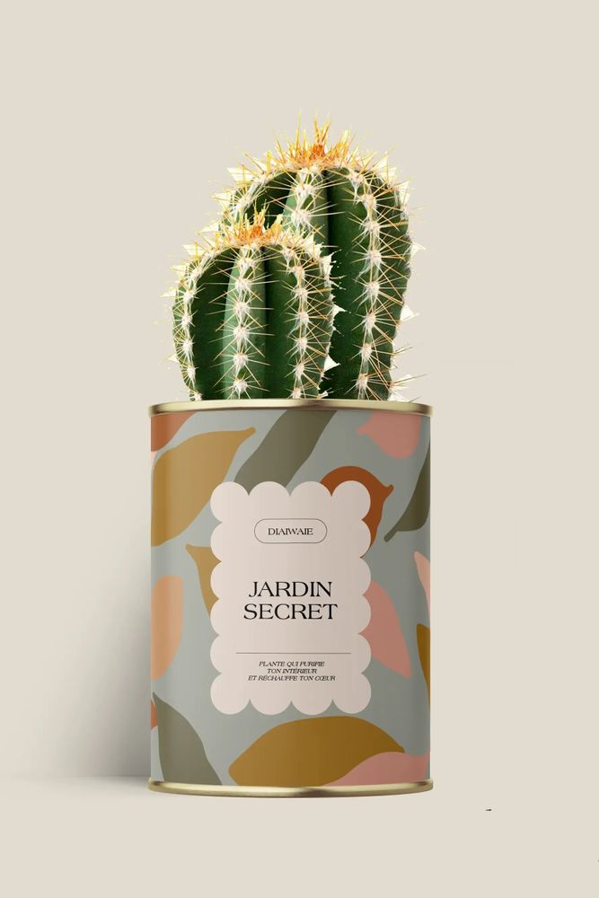 Cadeaux - Jardin secret - Maxi Cactus - DIAIWAIE