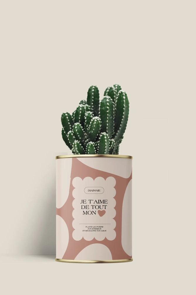 Cadeaux - Je t'aime de tout mon coeur - Mini Cactus - DIAIWAIE
