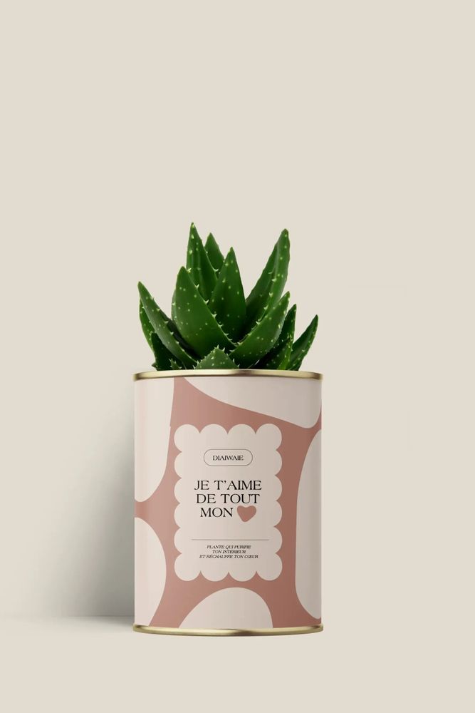 Cadeaux - Je t'aime de tout mon coeur - Mini Aloé - DIAIWAIE