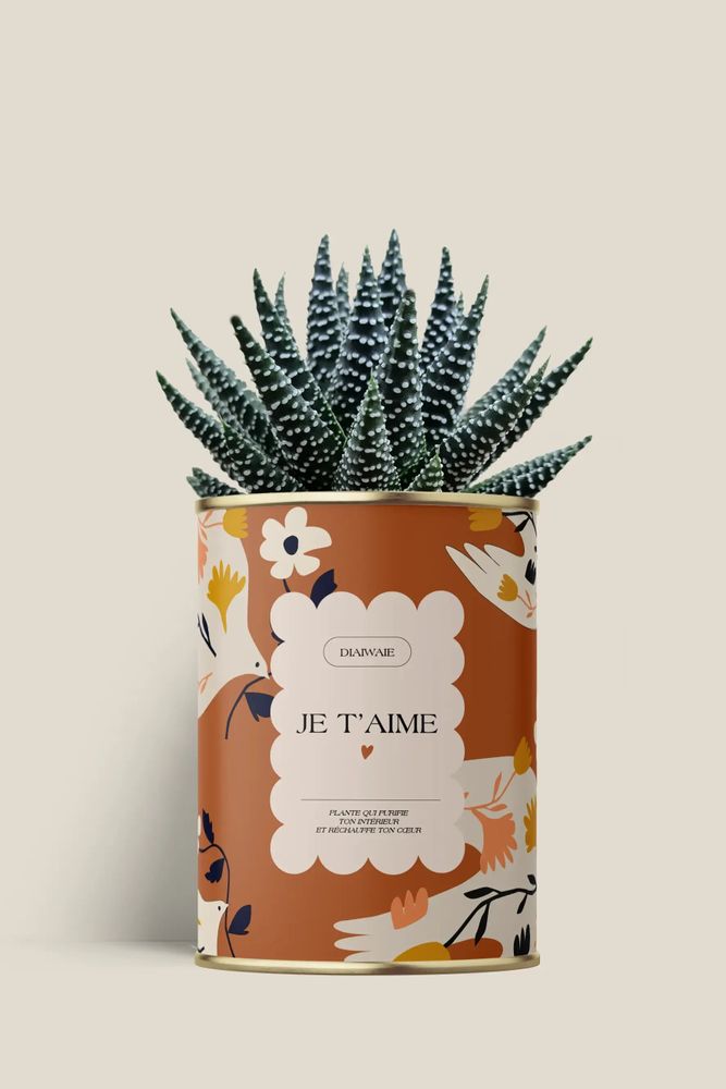 Gifts - Je t'aime - Maxi Aloé - DIAIWAIE