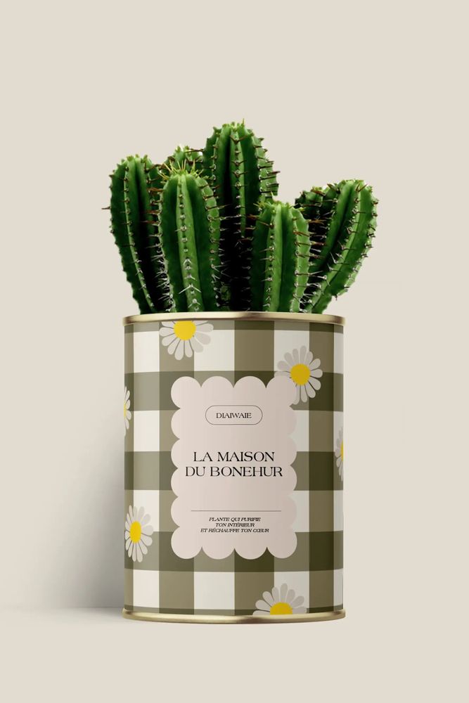 Cadeaux - La maison du bohneur - Maxi Cactus - DIAIWAIE