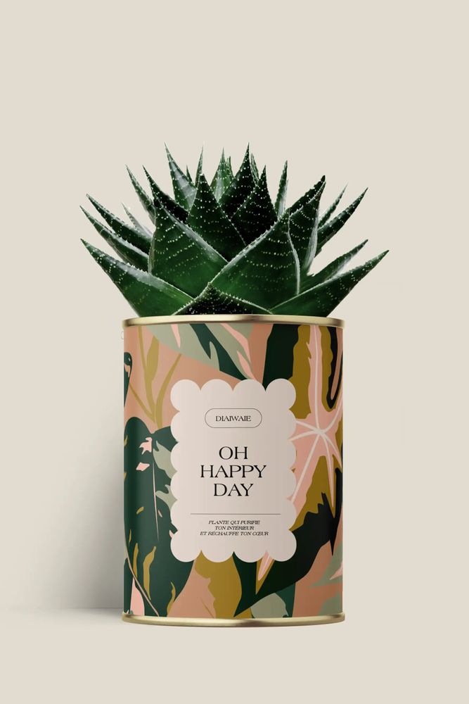 Gifts - Oh happy day - Maxi Aloé - DIAIWAIE