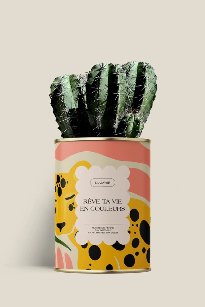 Gifts - Rêve ta vie en couleurs - Maxi Cactus - DIAIWAIE