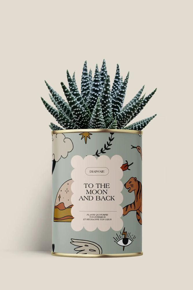 Gifts - To the moon and back - Mini Aloé - DIAIWAIE