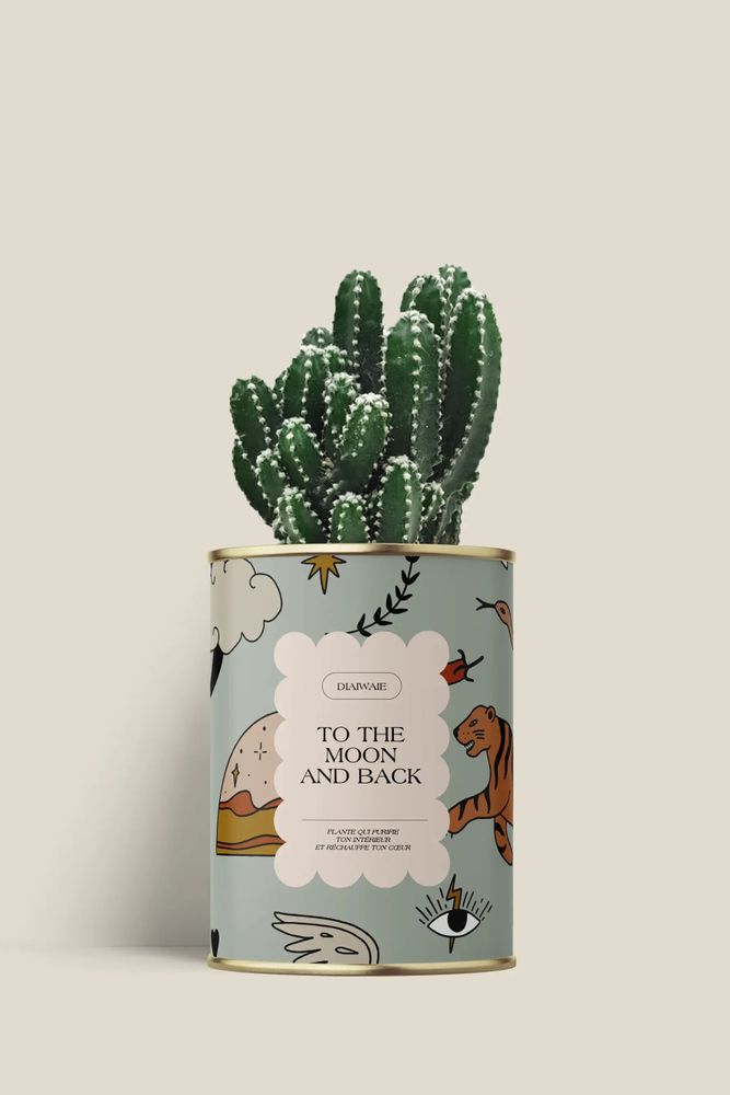 Gifts - To the moon and back - Mini Cactus - DIAIWAIE