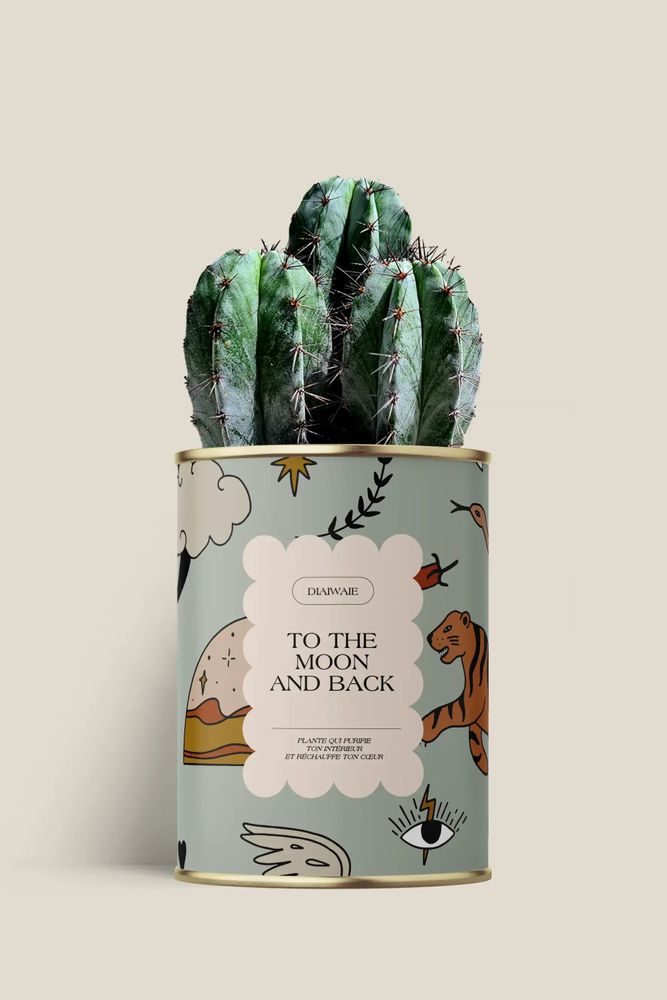 Gifts - To the moon and back - Maxi Cactus - DIAIWAIE