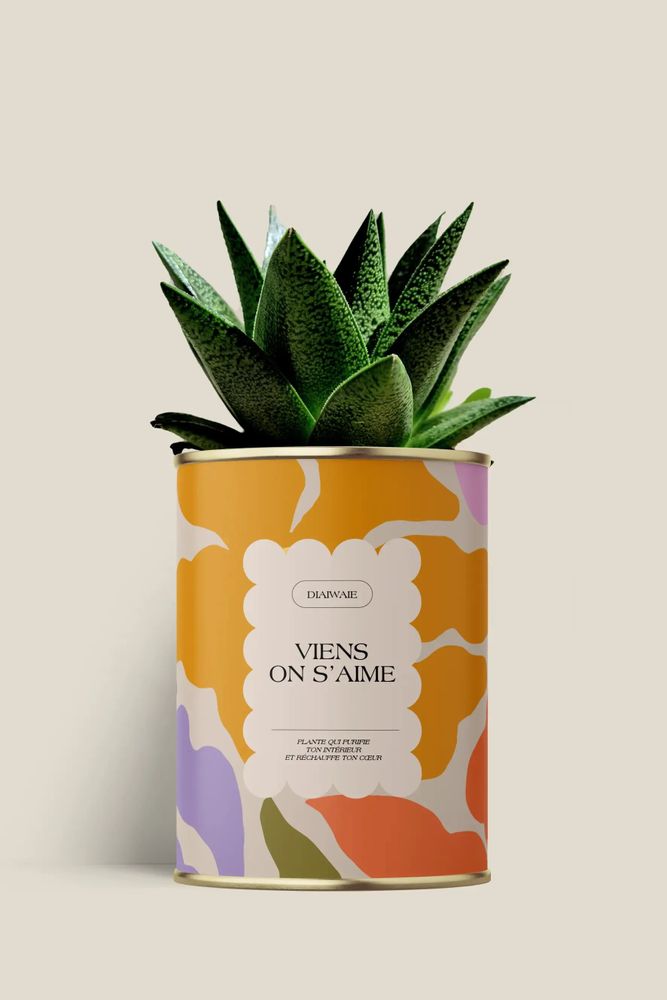 Gifts - Viens on s'aime - Mini Aloé - DIAIWAIE