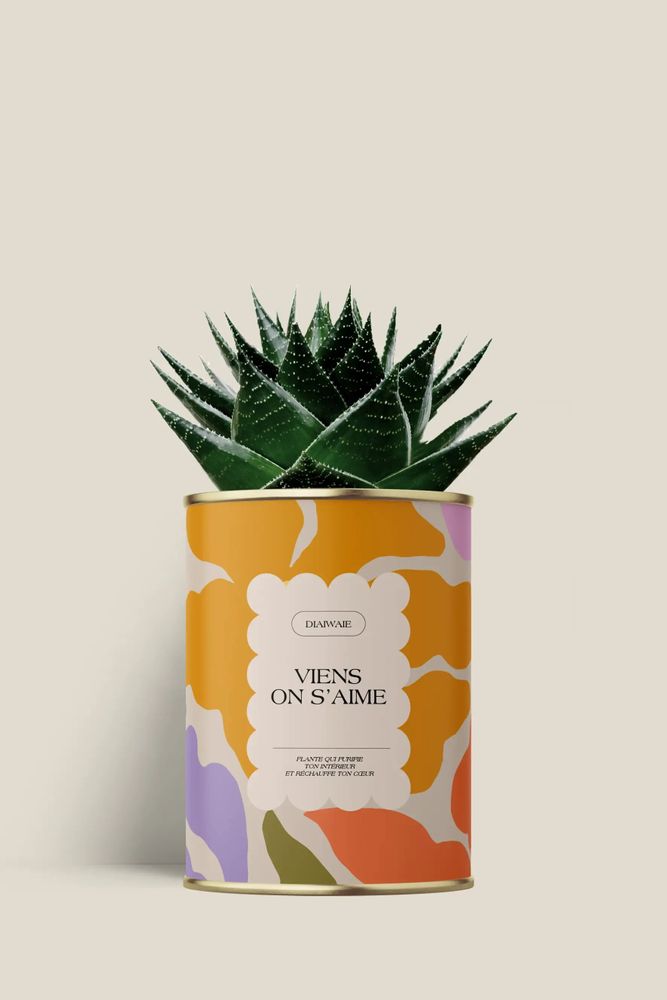 Gifts - Viens on s'aime - Maxi Aloé - DIAIWAIE
