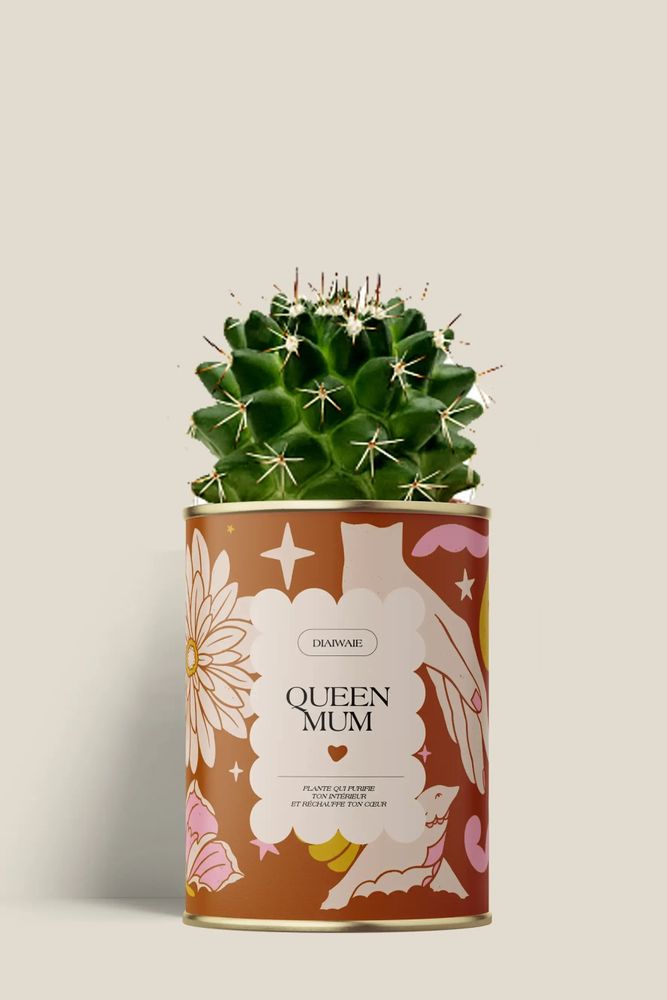 Gifts - Queen Mum - Mini Cactus - DIAIWAIE