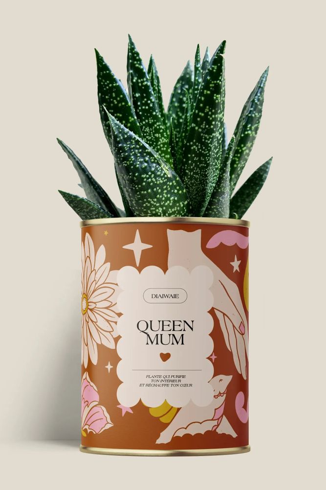 Gifts - Queen Mum - Maxi Aloé - DIAIWAIE
