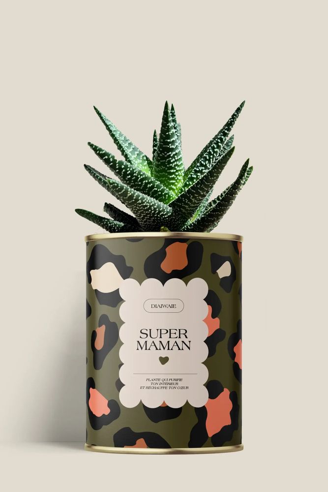 Gifts - Super maman - Mini Aloé - DIAIWAIE