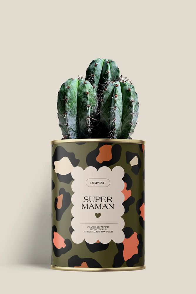 Cadeaux - Super maman - Mini Cactus - DIAIWAIE
