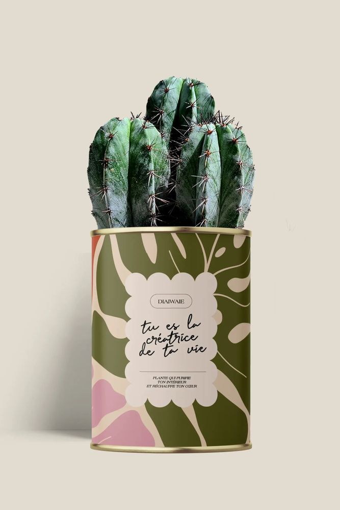 Cadeaux - Tu es la créatrice de ta vie - Maxi Cactus - DIAIWAIE