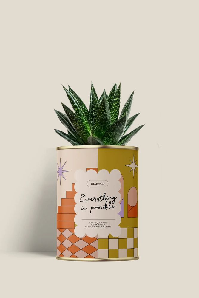 Cadeaux - Everything is possible - Mini Aloé - DIAIWAIE
