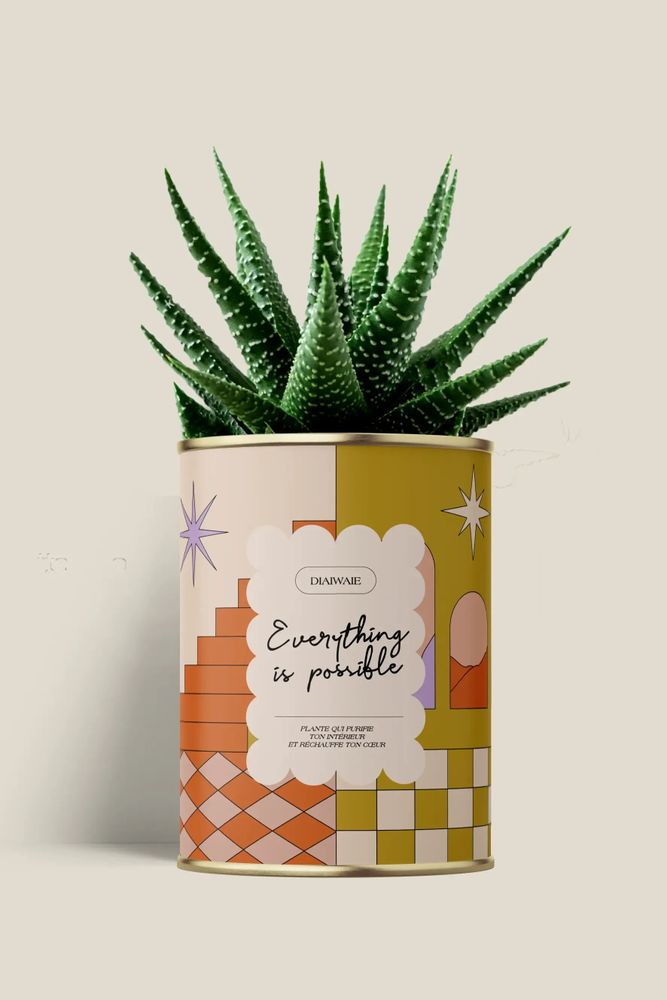 Cadeaux - Everything is possible - Maxi Aloé - DIAIWAIE