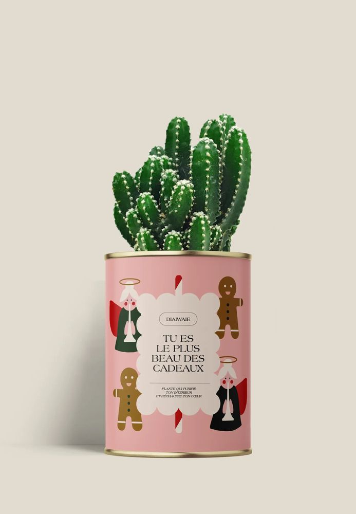 Cadeaux - TU ES LE PLUS BEAU DES CADEAUXX - Mini Cactus - DIAIWAIE