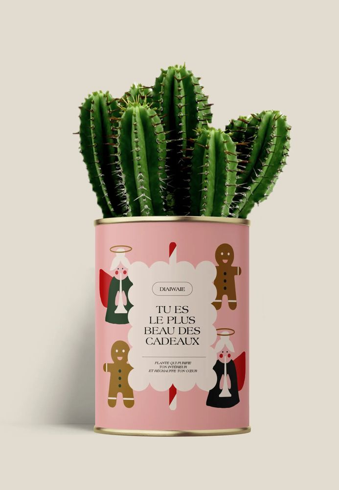 Cadeaux - TU ES LE PLUS BEAU DES CADEAUXX - Maxi Cactus - DIAIWAIE