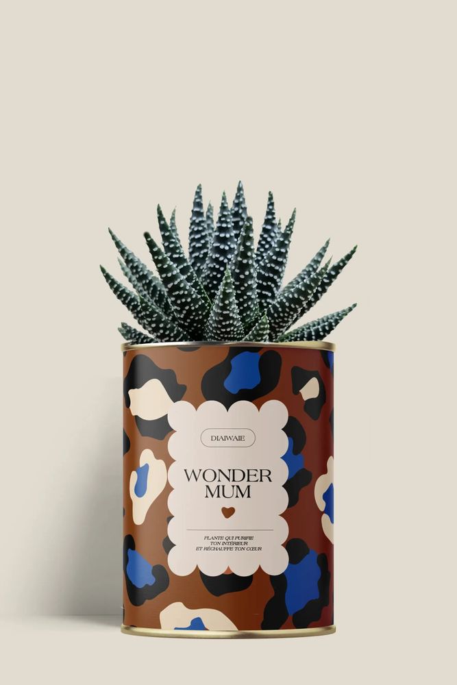 Cadeaux - Wonder mum - Mini Aloé - DIAIWAIE