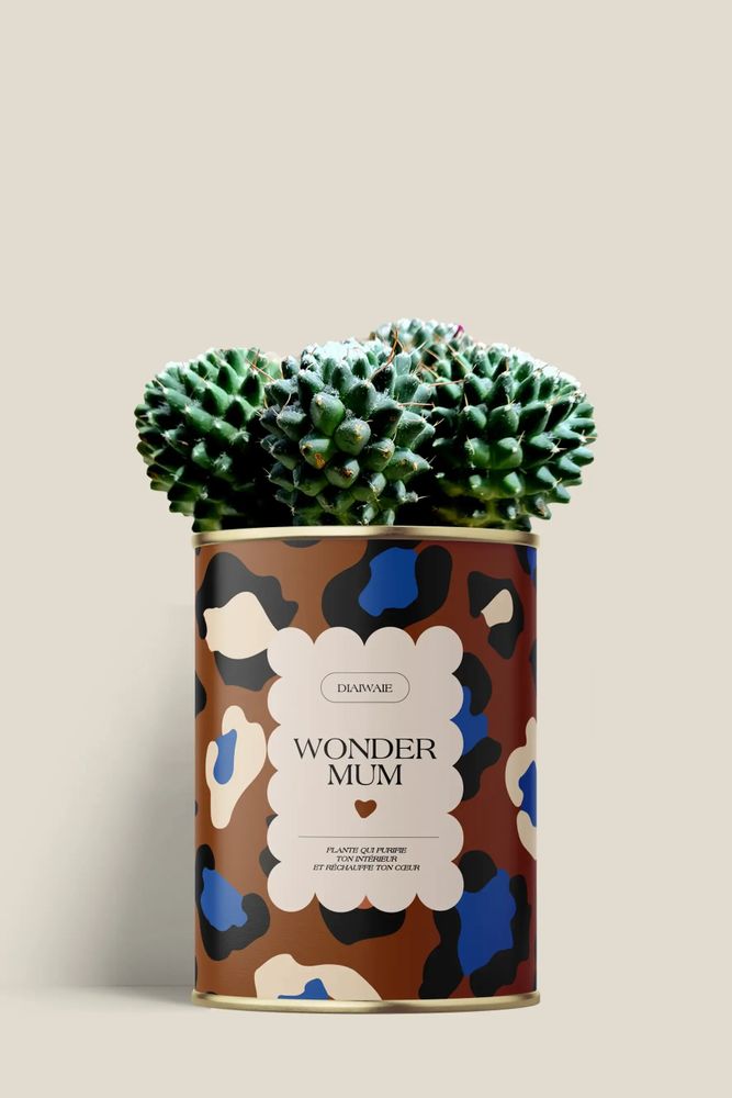 Cadeaux - Wonder mum - Mini Cactus - DIAIWAIE