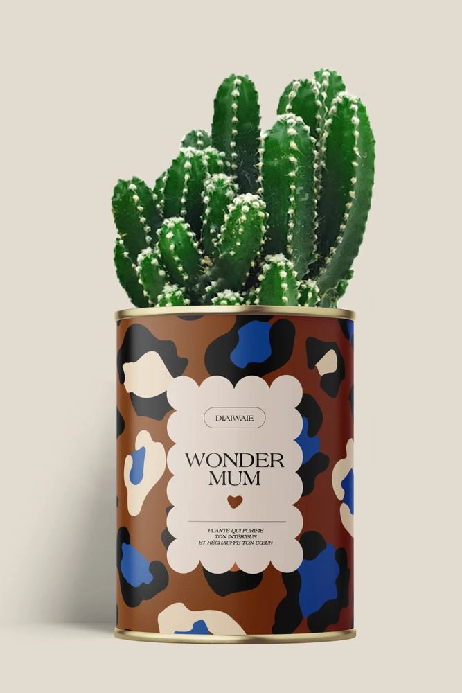 Cadeaux - Wonder mum - Maxi Aloé - DIAIWAIE