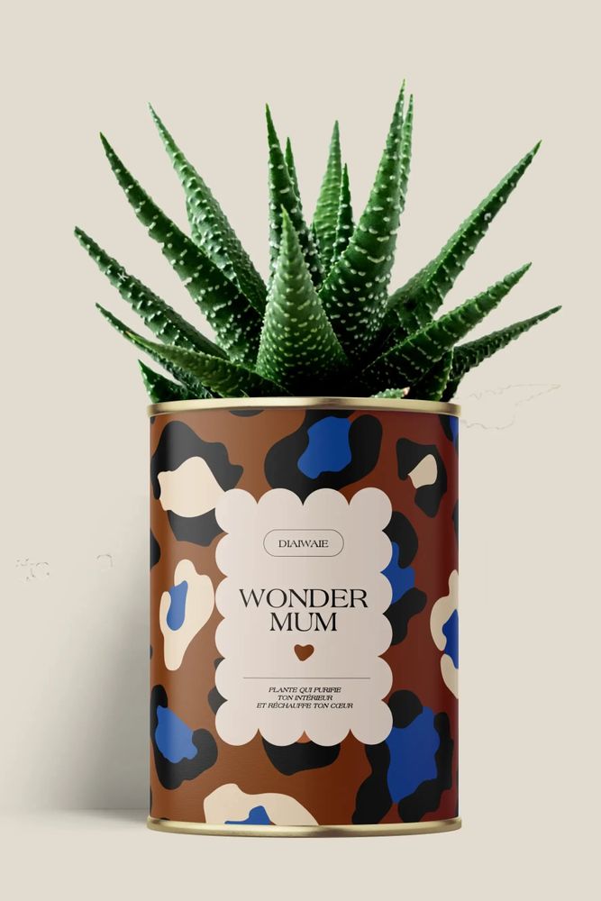Cadeaux - Wonder mum - Maxi Aloé - DIAIWAIE