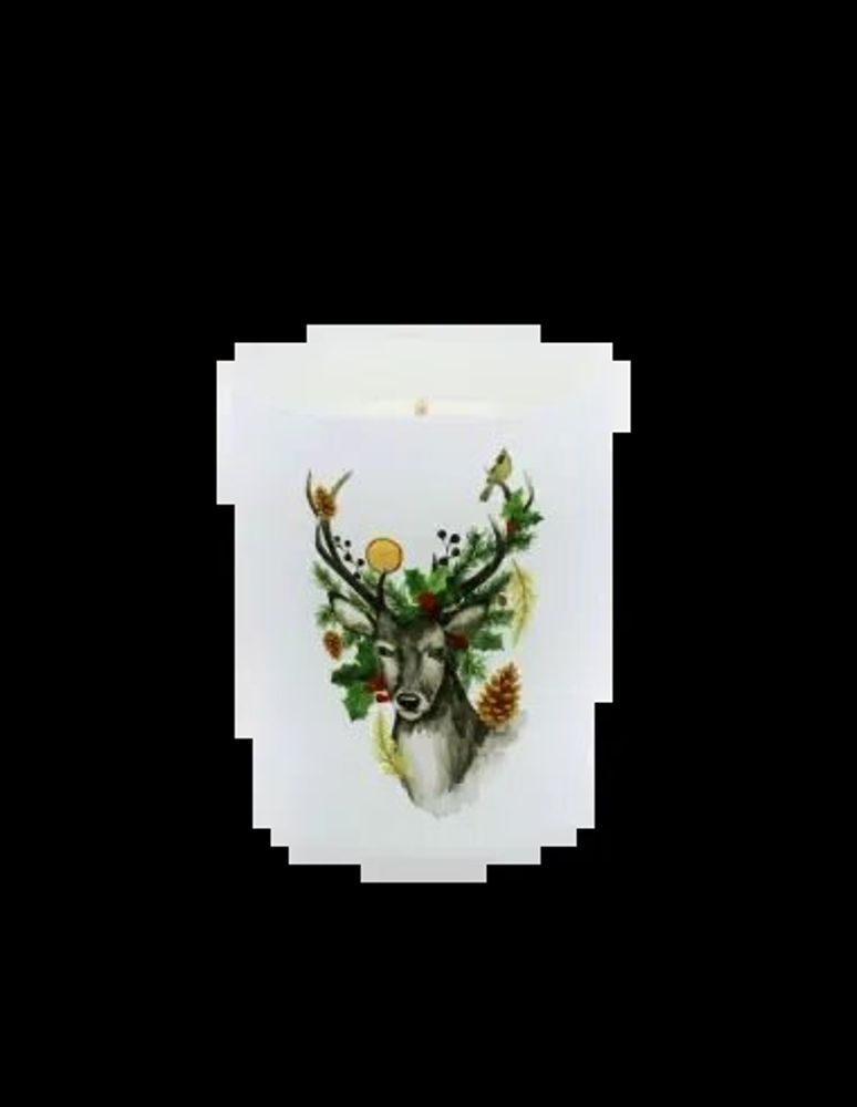 Bougies - Bougie Traditions Enchantées 180 g Sapin - LES LUMIERES DU TEMPS