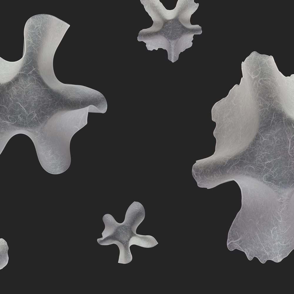 Platter and bowls - Utsuwa Series  “IRODORU" - NJ STYLE